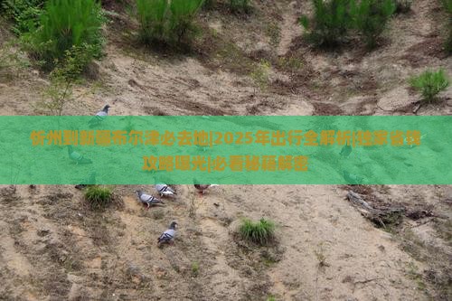 忻州到新疆布尔津必去地