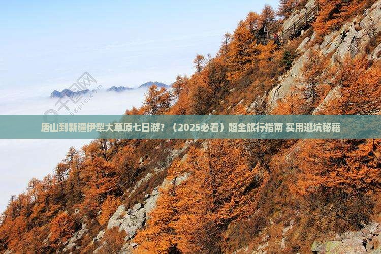 唐山到新疆伊犁大草原七日游