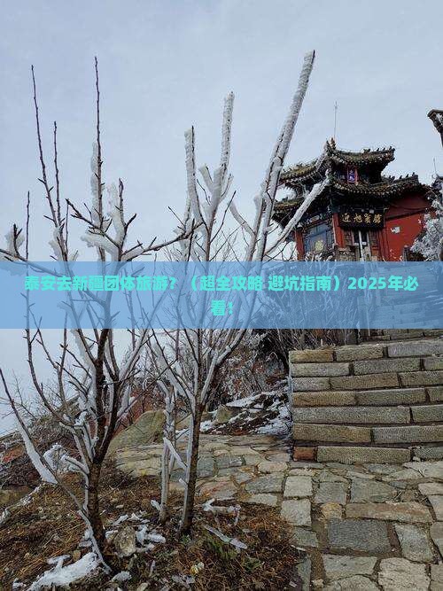 泰安到新疆团体旅游