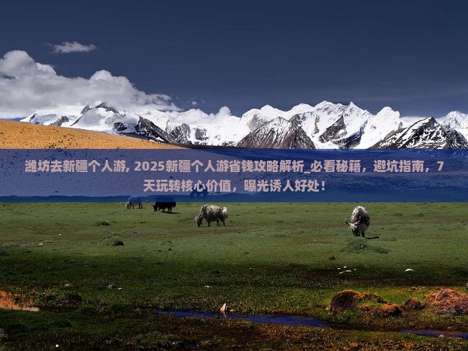 潍坊去新疆个人游
