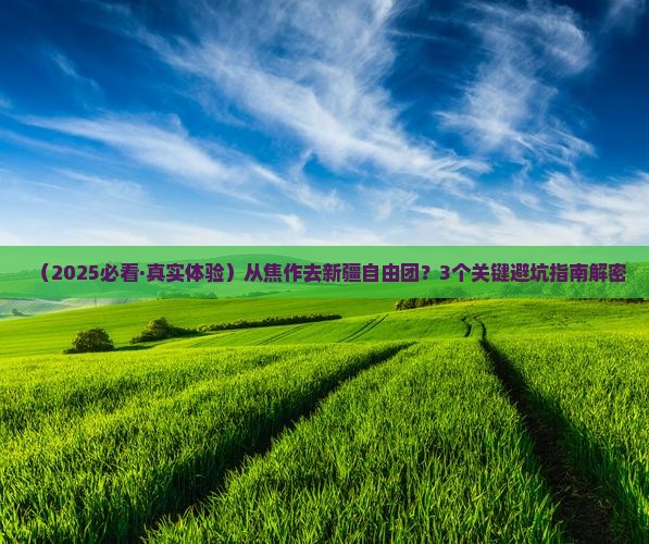 焦作到新疆自由团