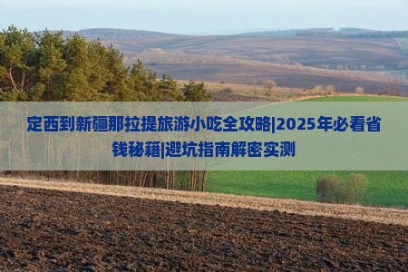 定西到新疆那拉提旅游小吃