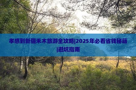 孝感去新疆禾木自由团
