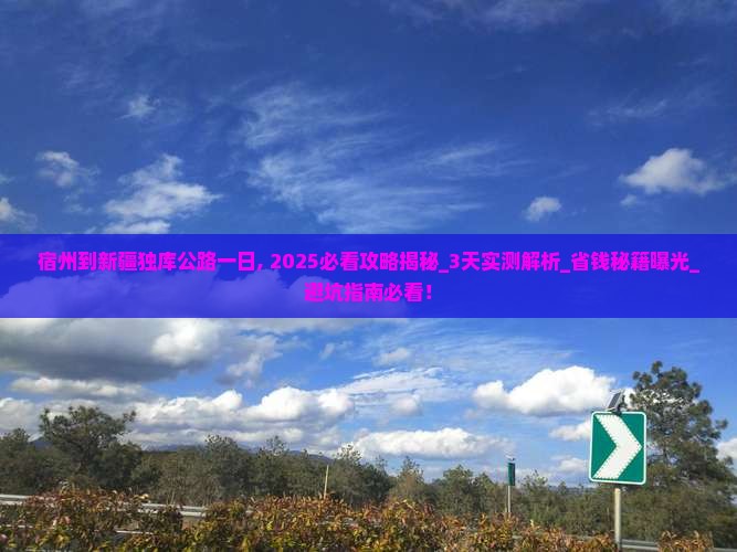 宿州到新疆独库公路一日