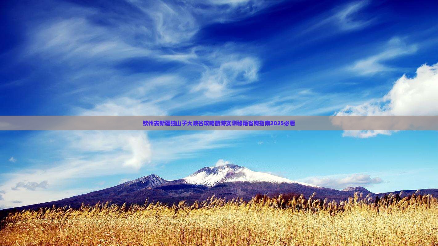 钦州去新疆独山子大峡谷景点