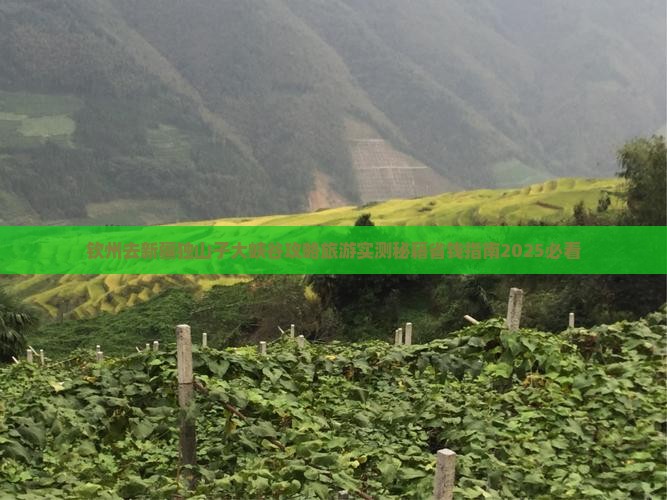 钦州去新疆独山子大峡谷景点