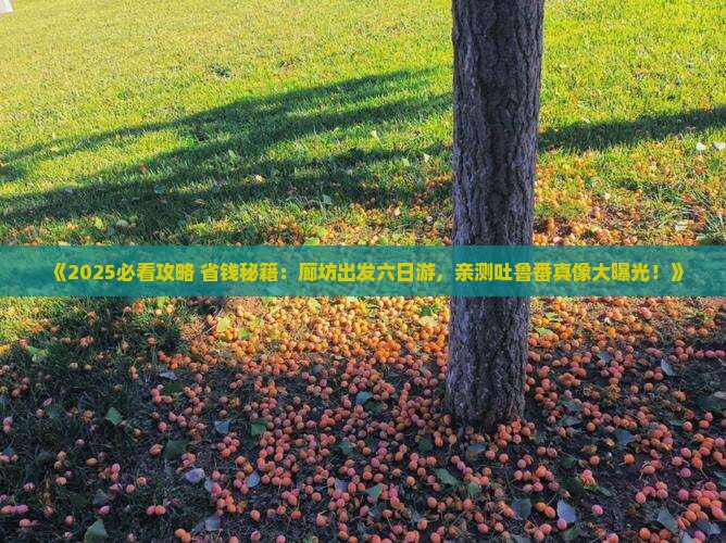 廊坊到新疆吐鲁番六日游 廊坊到新疆吐鲁番六日游