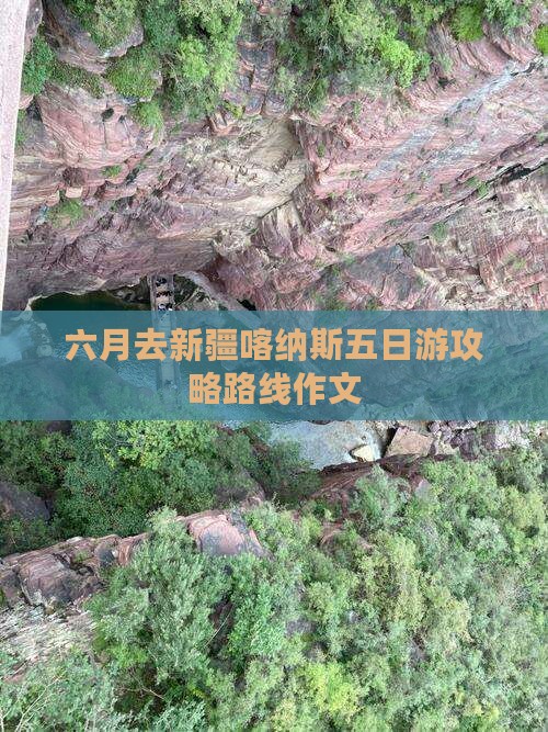 六月去新疆喀纳斯五日游