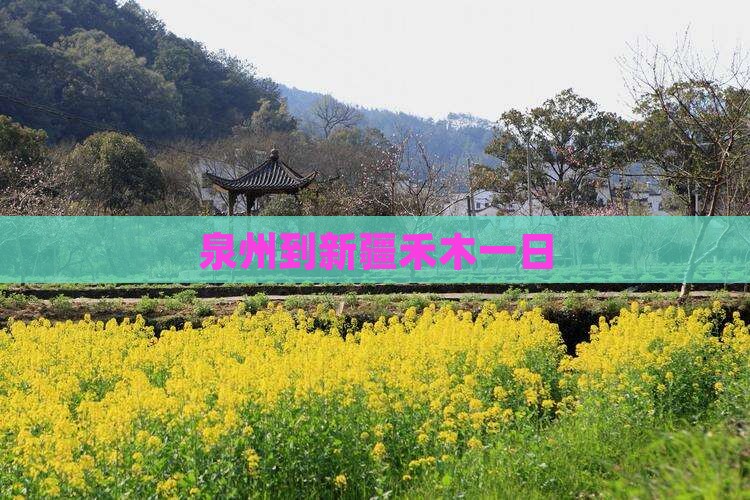 泉州到新疆禾木一日