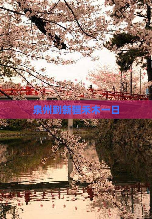 泉州到新疆禾木一日