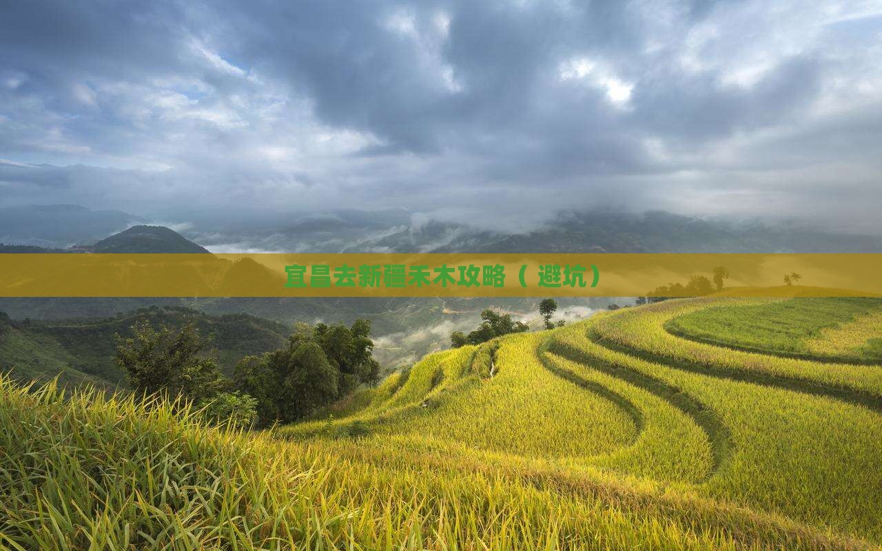 宜昌去新疆禾木攻略
