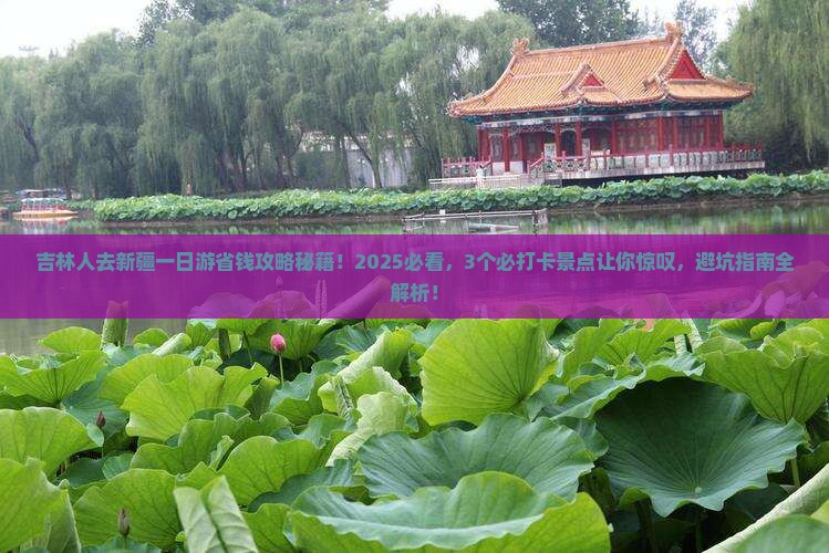 吉林去新疆一日
