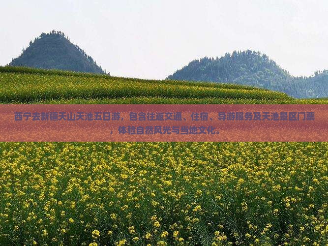 西宁去新疆天山天池五日游