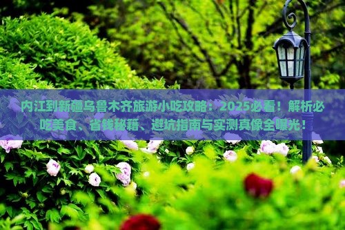 内江到新疆乌鲁木齐旅游小吃