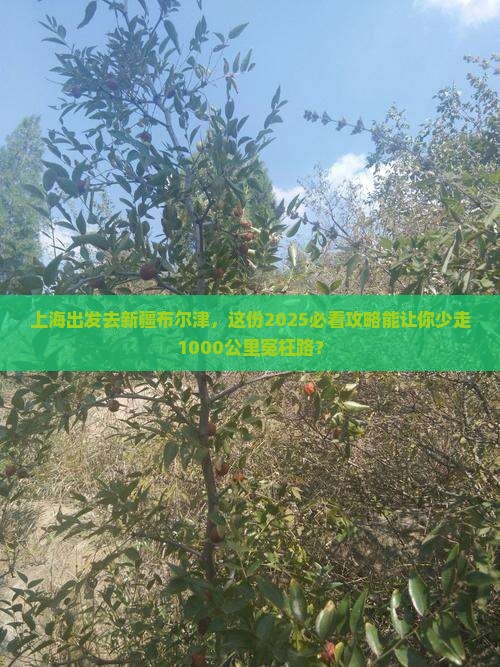 上海去新疆布尔津旅行社