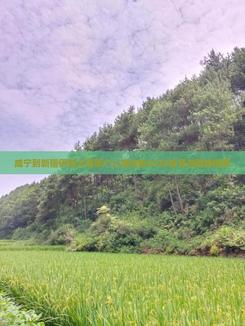 咸宁到新疆伊犁大草原个人游