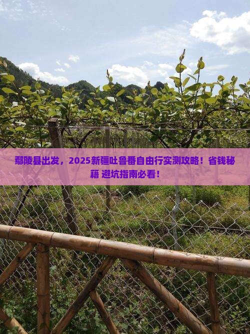 鄢陵县去新疆吐鲁番自由团