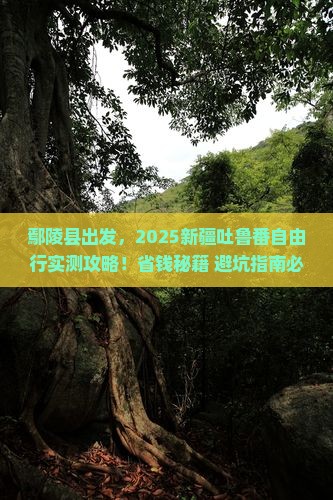 鄢陵县去新疆吐鲁番自由团