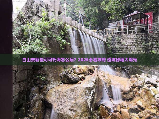白山去新疆可可托海旅行社