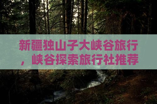 锡林郭勒盟去新疆独山子大峡谷旅行社
