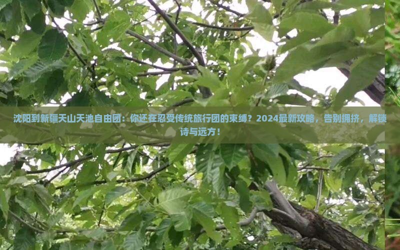 沈阳到新疆天山天池自由团