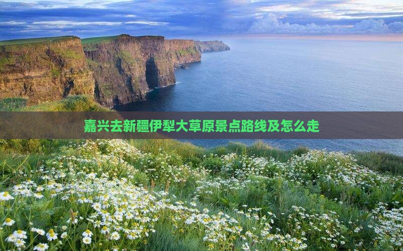 嘉兴去新疆伊犁大草原景点