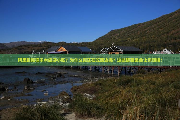 阿里到新疆禾木旅游小吃