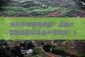桂林到新疆喀纳斯大型旅游团