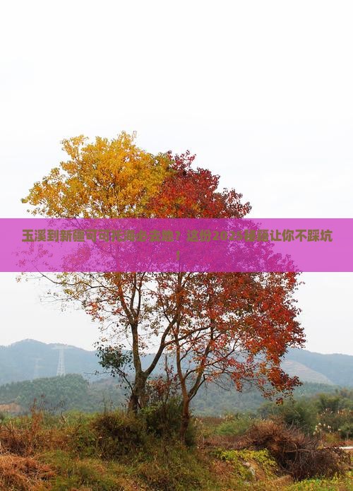 玉溪到新疆可可托海必去地