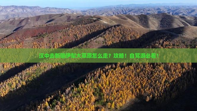 汉中去新疆伊犁大草原攻略