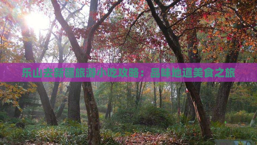 乐山去新疆旅游小吃攻略：品味地道美食之旅