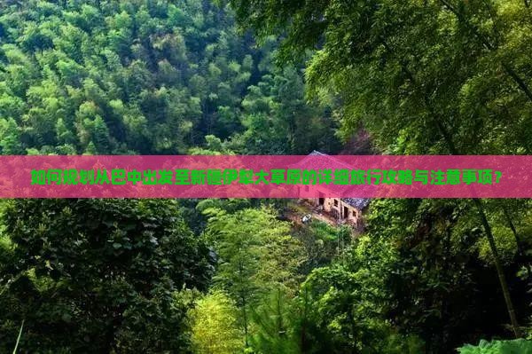 如何规划从巴中出发至新疆伊犁大草原的详细旅行攻略与注意事项？