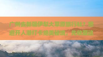 广州去新疆伊犁大草原旅行社？想避开人潮打卡绝美秘境，先收藏这波小众攻略