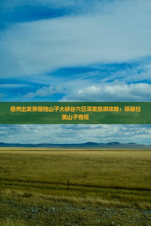 梧州出发新疆独山子大峡谷六日深度旅游攻略：探秘壮美山子奇观