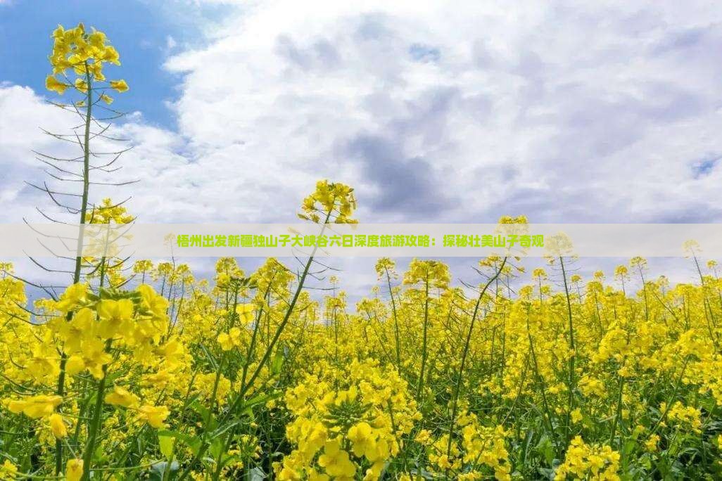 梧州出发新疆独山子大峡谷六日深度旅游攻略：探秘壮美山子奇观