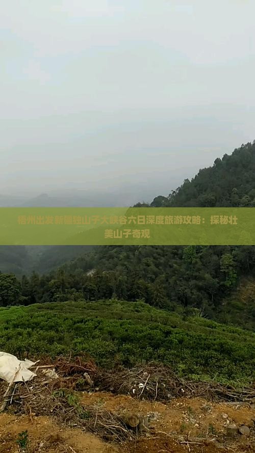梧州出发新疆独山子大峡谷六日深度旅游攻略：探秘壮美山子奇观