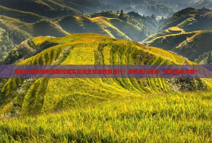 如何从迪庆到新疆那拉提实现说走就走的自由行？避开旅行痛点，掌握最新攻略！