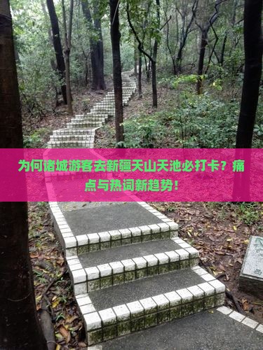 为何诸城游客去新疆天山天池必打卡？痛点与热词新趋势！