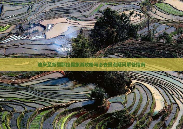 迪庆至新疆那拉提旅游攻略与必去景点疑问解答指南