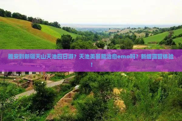 雅安到新疆天山天池四日游？天池美景能治愈emo吗？新增露营体验！