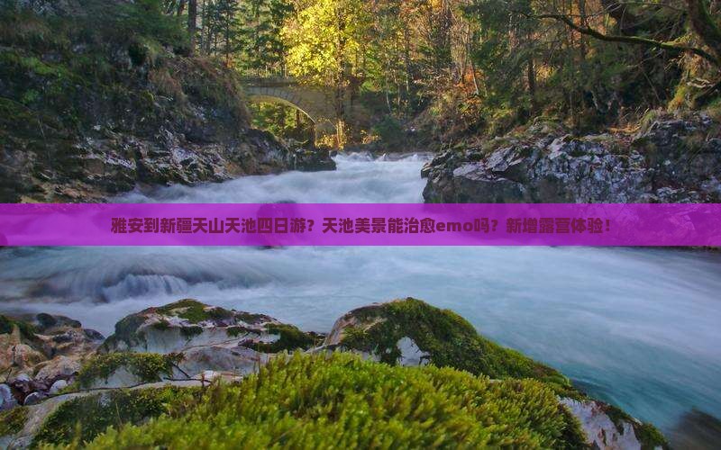 雅安到新疆天山天池四日游？天池美景能治愈emo吗？新增露营体验！