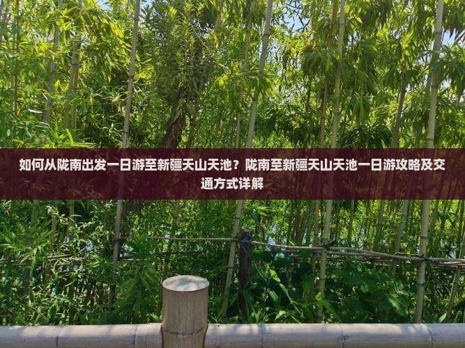 如何从陇南出发一日游至新疆天山天池？陇南至新疆天山天池一日游攻略及交通方式详解