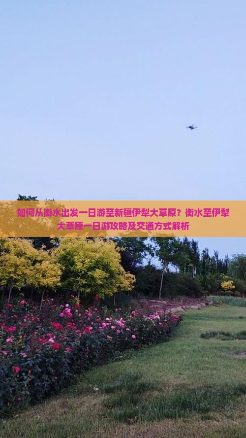 如何从衡水出发一日游至新疆伊犁大草原？衡水至伊犁大草原一日游攻略及交通方式解析