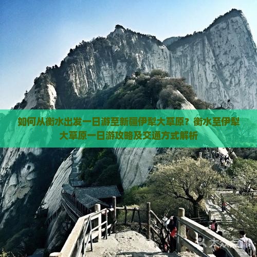 如何从衡水出发一日游至新疆伊犁大草原？衡水至伊犁大草原一日游攻略及交通方式解析