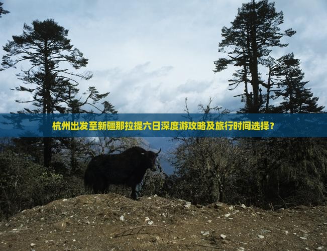 杭州出发至新疆那拉提六日深度游攻略及旅行时间选择？