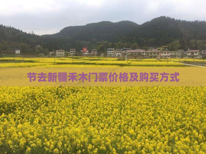 节去新疆禾木门票价格及购买方式