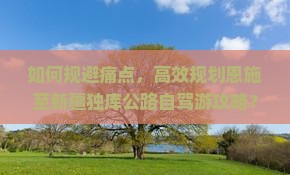 如何规避痛点，高效规划恩施至新疆独库公路自驾游攻略？