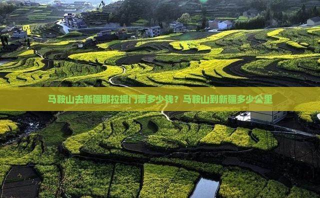 马鞍山去新疆那拉提门票多少钱？马鞍山到新疆多少公里