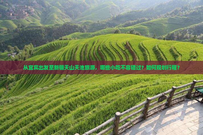 从宜宾出发至新疆天山天池旅游，哪些小吃不容错过？如何规划行程？