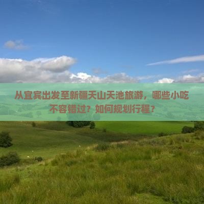 从宜宾出发至新疆天山天池旅游，哪些小吃不容错过？如何规划行程？